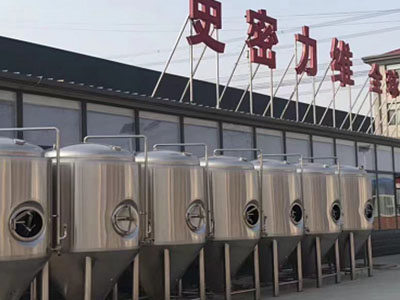 云南精酿啤酒设备厂—如何判断精酿啤酒设备的密封件需要更换？